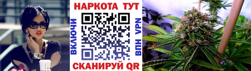 Где купить наркоту Котлас Галлюциногенные грибы  Бутират  Меф  Канабис  OMG ссылка  Cocaine 