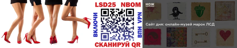 omg как войти  darknet наркотические препараты  Марки 25I-NBOMe 1500мкг  Котлас 